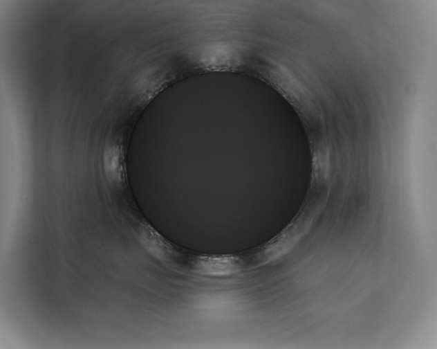 X0000111480671200907210950