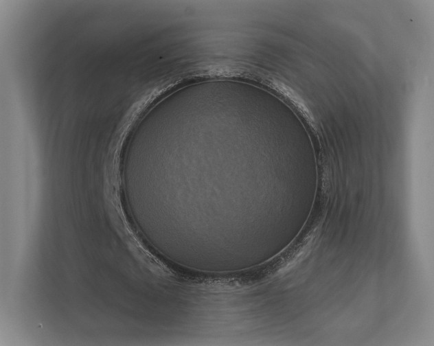 X0000111480673200907210949