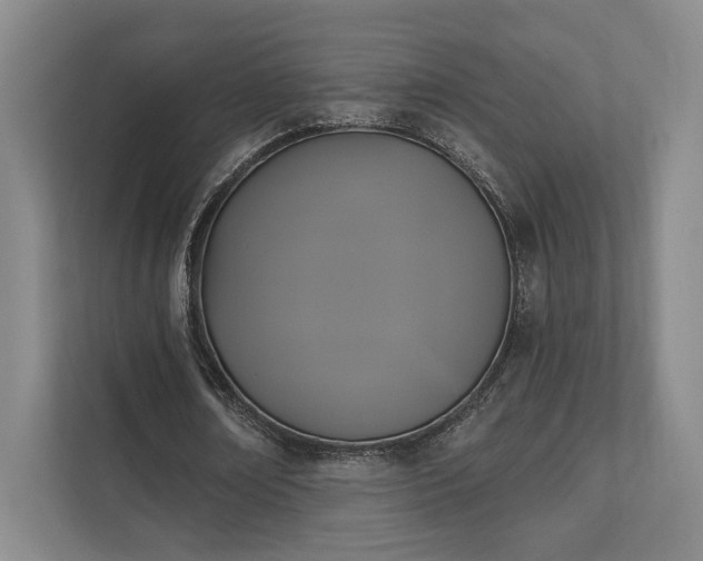 X0000111480674200907210949