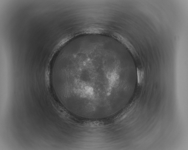 X0000111480675200907210949