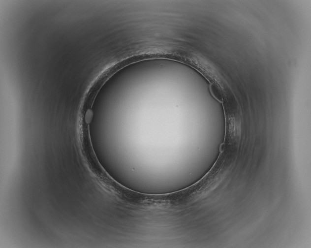 X0000111480676200907210949