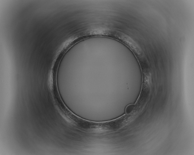 X0000111480678200907210949