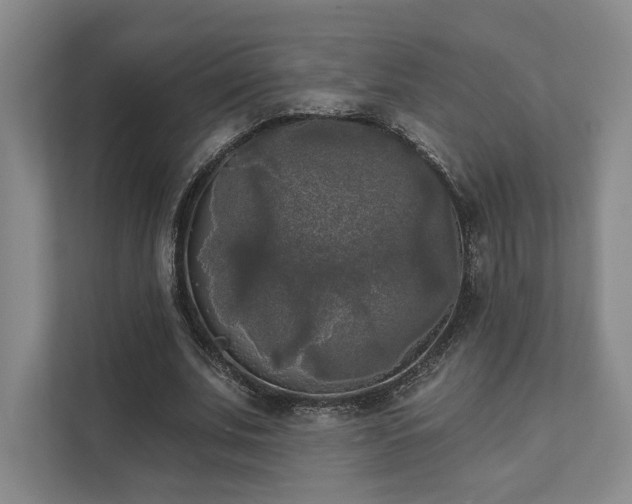 X0000111480679200907210949