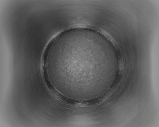 X0000111480680200907210949