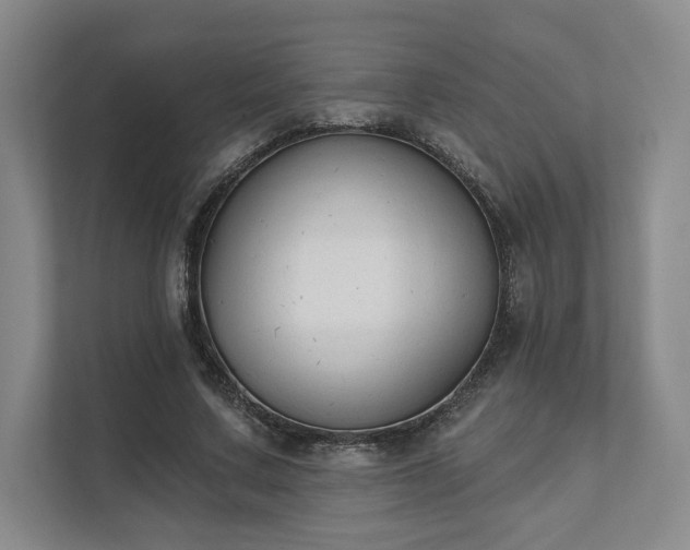 X0000111480683200907210949