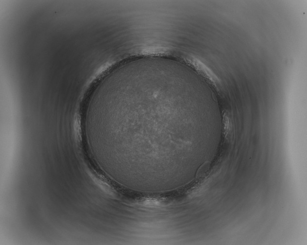 X0000111480684200907210949