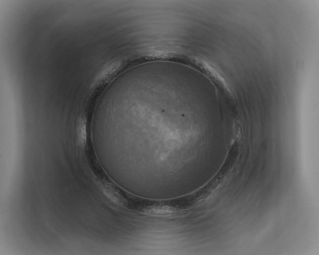X0000111480685200907210949