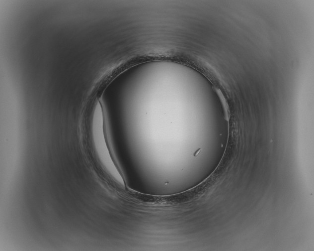 X0000111480688200907210949