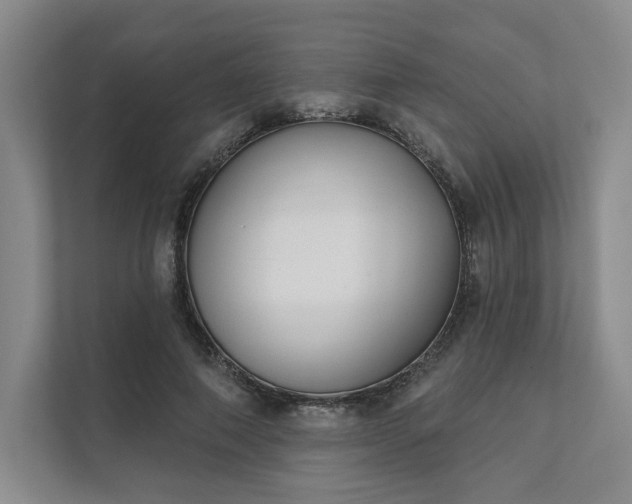 X0000111480690200907210949