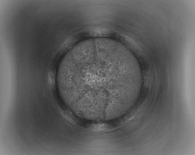 X0000111480695200907210949