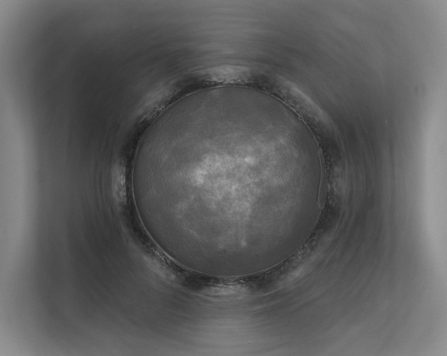 X0000111480696200907210949