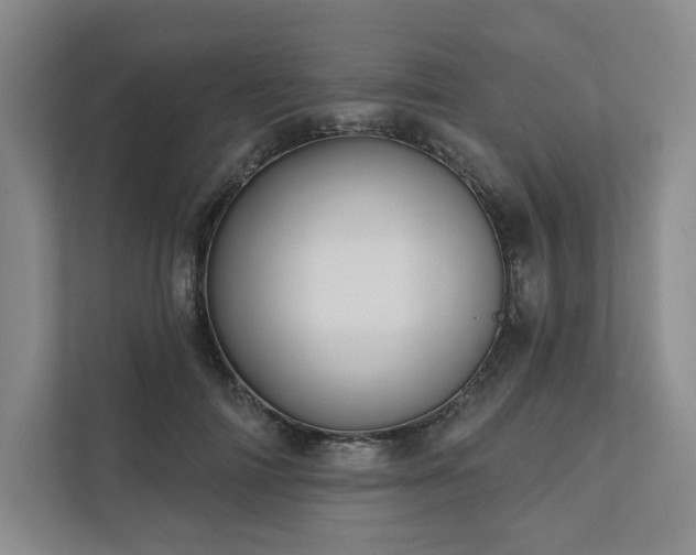 X0000111480698200907210949