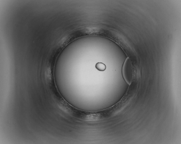 X0000111480700200907210949