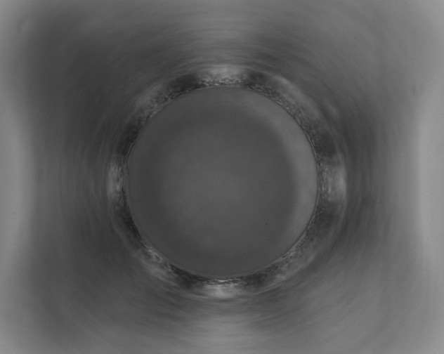 X0000111480701200907210949