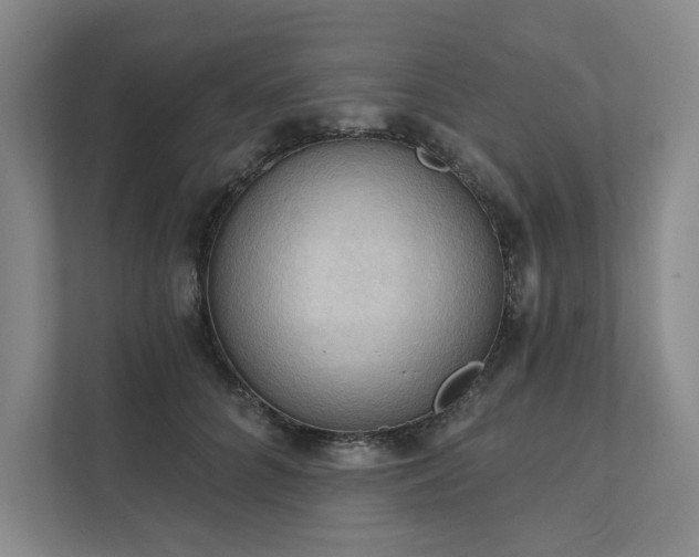 X0000111480704200907210949