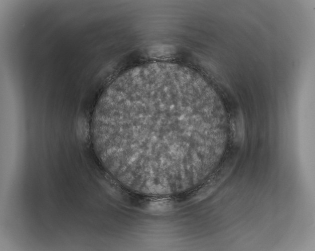 X0000111480705200907210949