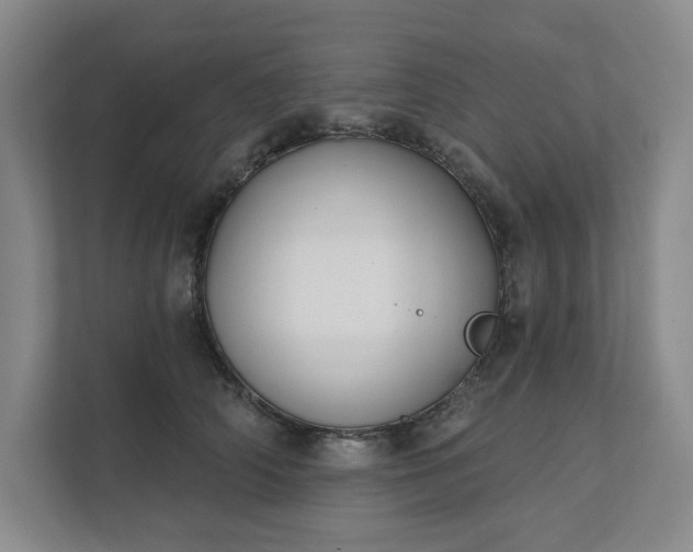 X0000111480706200907210949