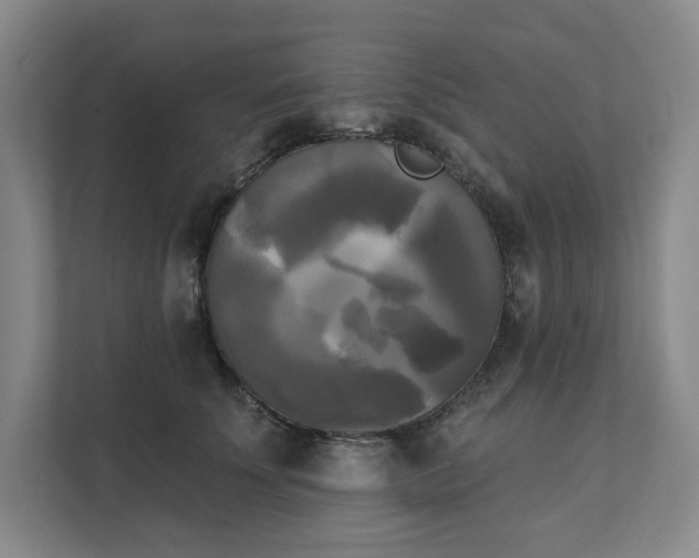 X0000111480707200907210948
