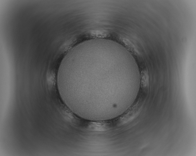 X0000111480713200907210948