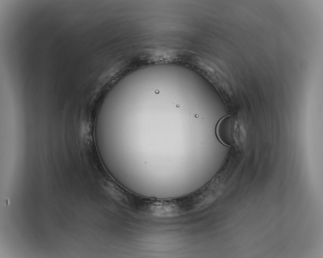 X0000111480714200907210948