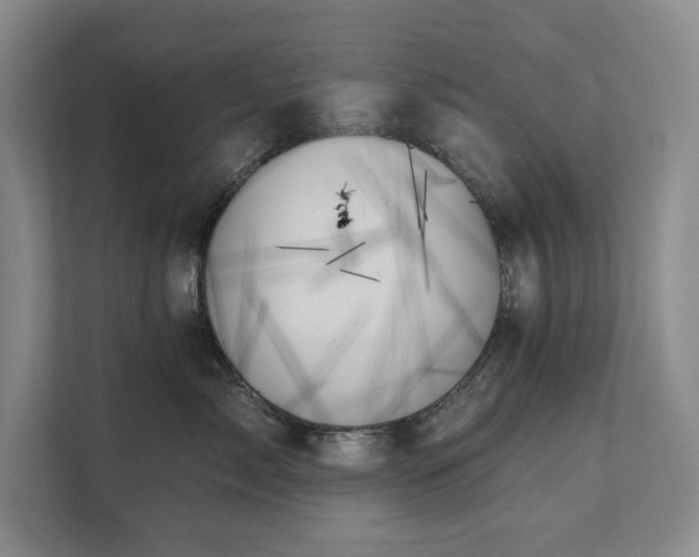 X0000111480717200907210948