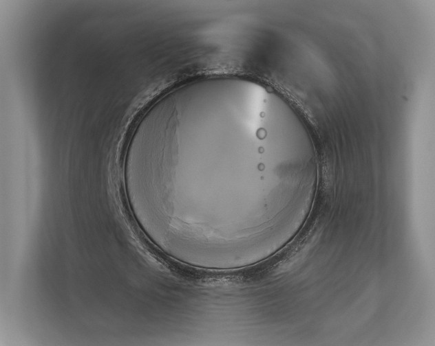 X0000111480721200907210948