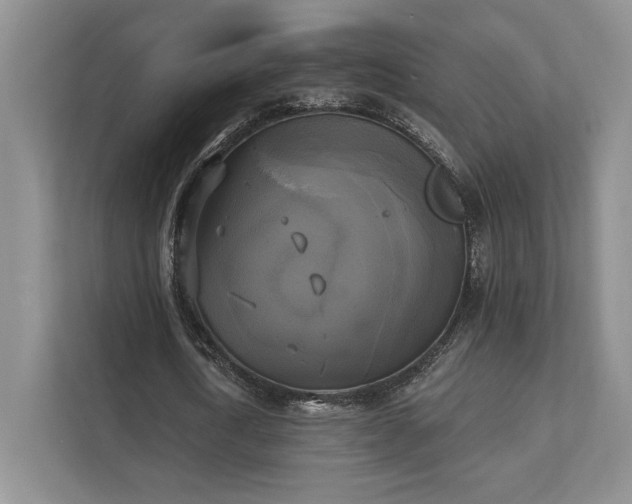 X0000111480722200907210948
