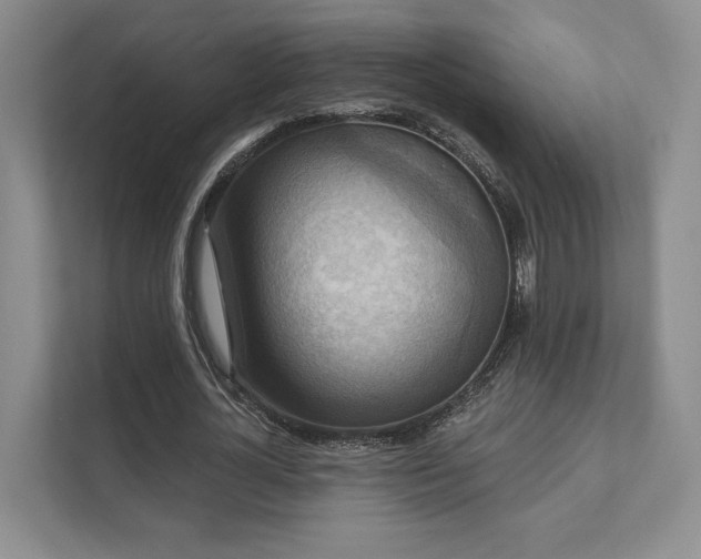 X0000111480724200907210948