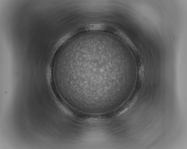 X0000111480725200907210948