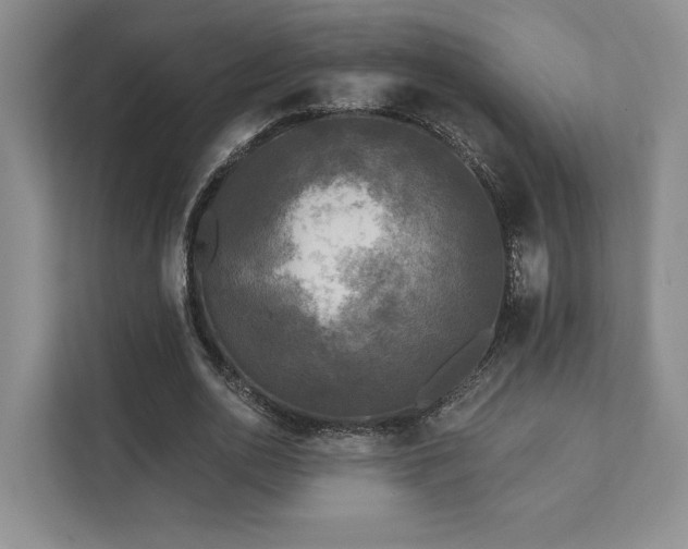 X0000111480726200907210948