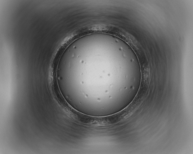 X0000111480727200907210948