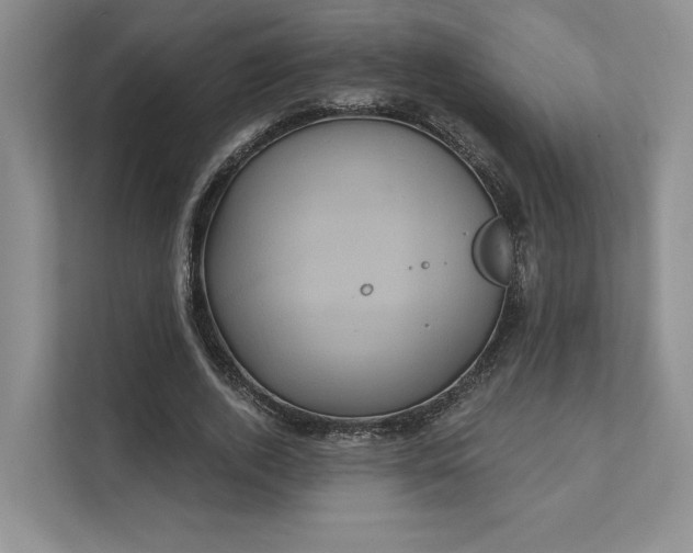 X0000111480728200907210948