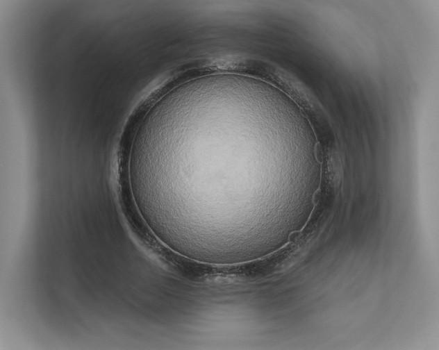 X0000111480730200907210948
