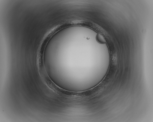 X0000111480732200907210948