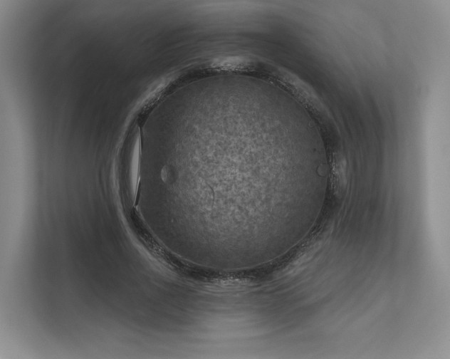 X0000111480734200907210948