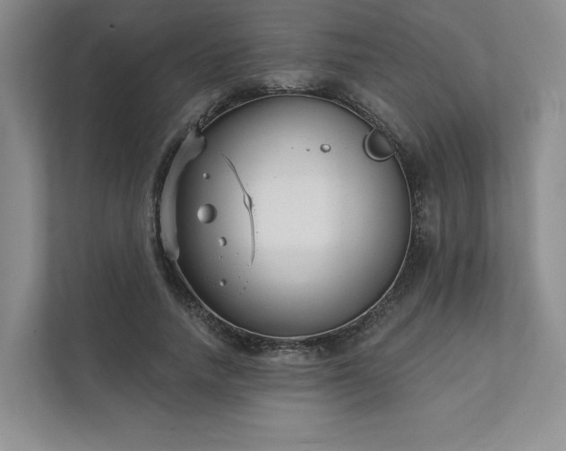 X0000111480738200907210948