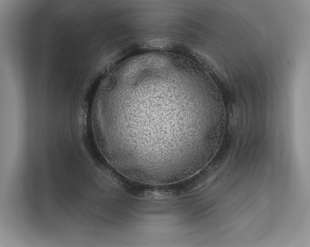 X0000111480739200907210948