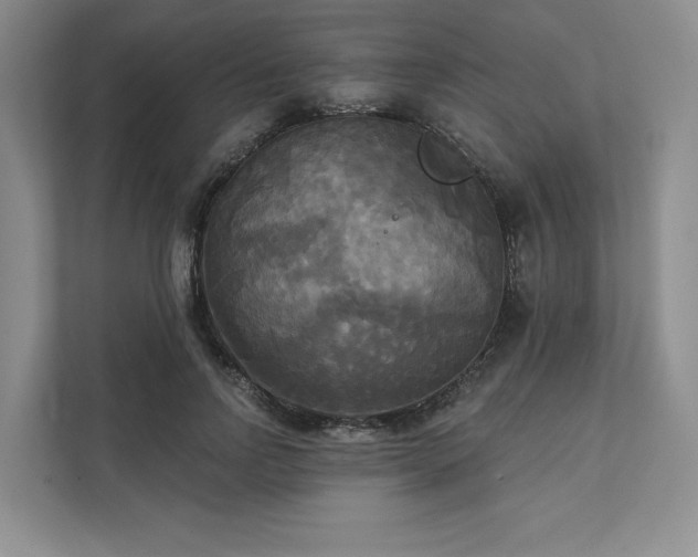 X0000111480742200907210948