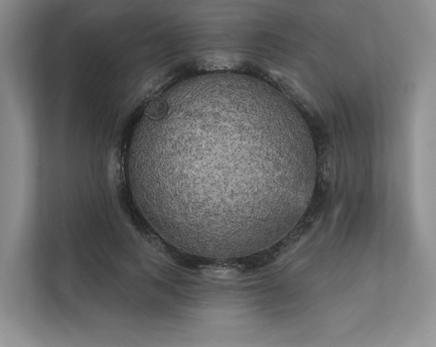 X0000111480743200907210948