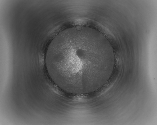 X0000111480745200907210948