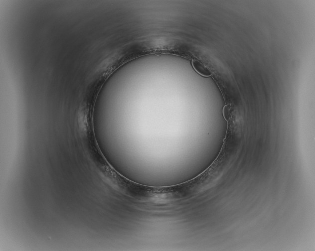 X0000111480746200907210948