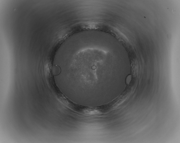 X0000111480747200907210948