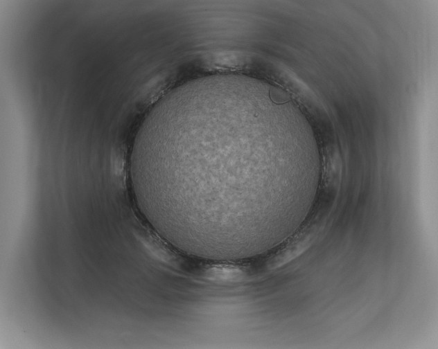X0000111480749200907210948