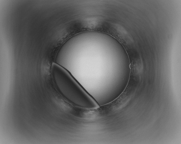 X0000111480750200907210948