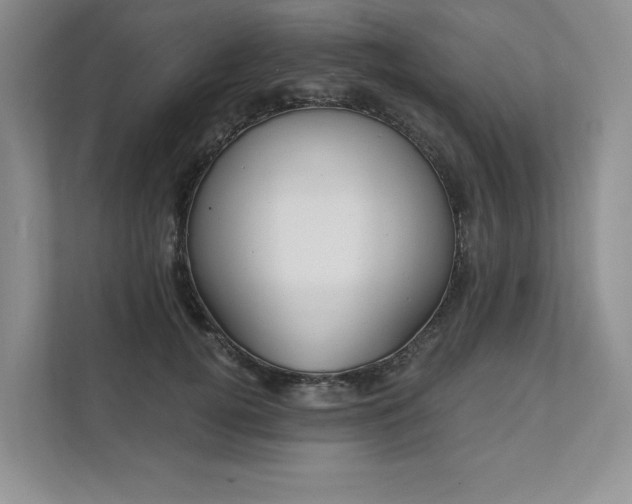X0000111480752200907210948