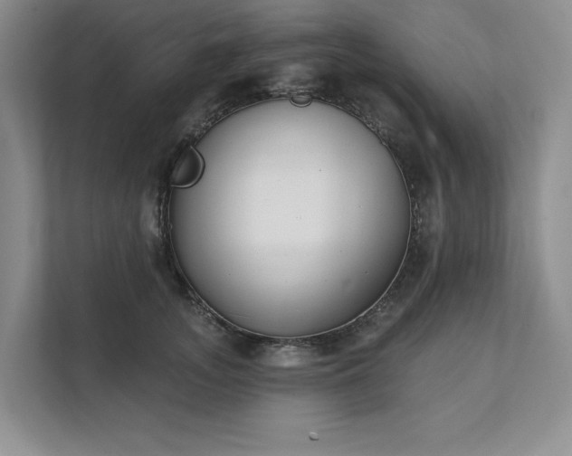 X0000111480755200907210948