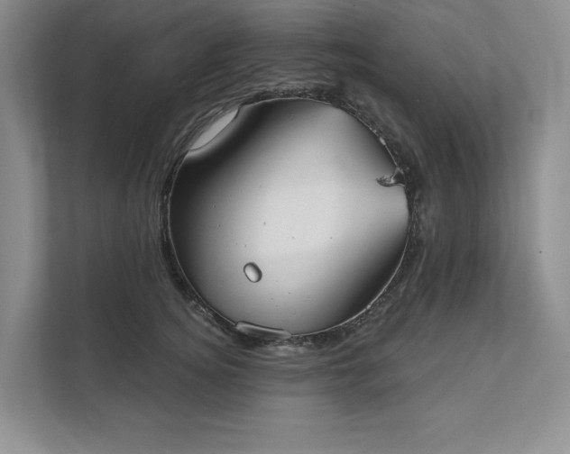X0000111480756200907210948
