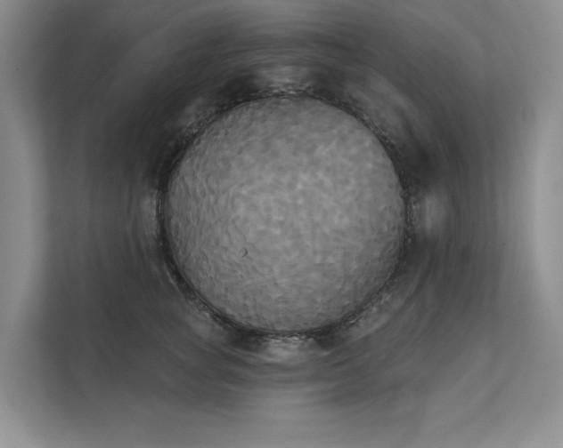 X0000111480757200907210948