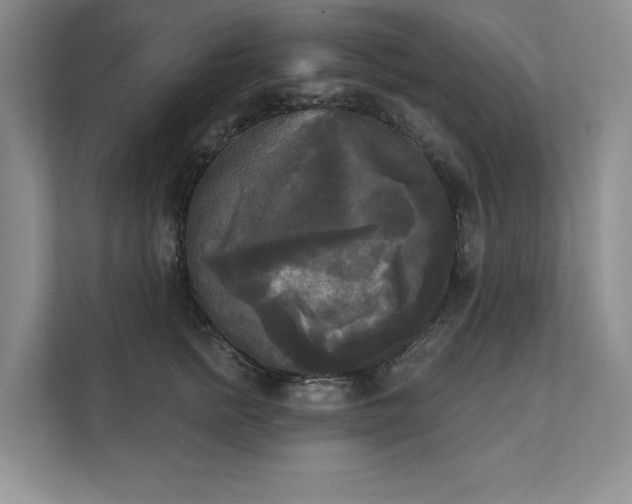 X0000111480758200907210948