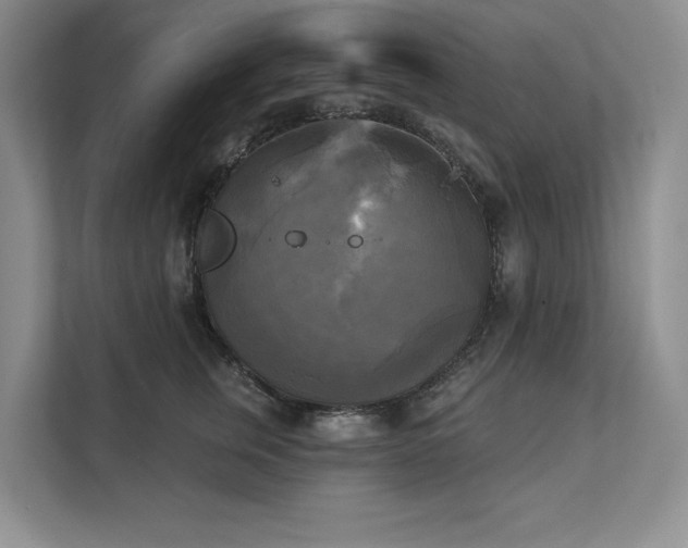 X0000111480759200907210948